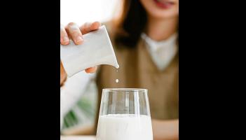 Limerick dairy farmers are ‘up against it' after milk price plummets - ICMSA