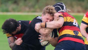 Just two Limerick wins as energia All-Ireland League action resumes