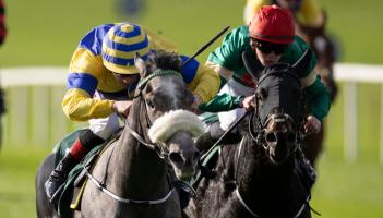 Bumper spell of success on the track for Limerick racing connections