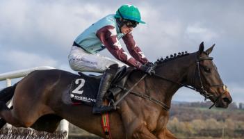Rathkeale jockey Calum Hogan enjoys successful week on the track