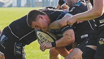 Limerick's seven senior rugby clubs resume All-Ireland League action