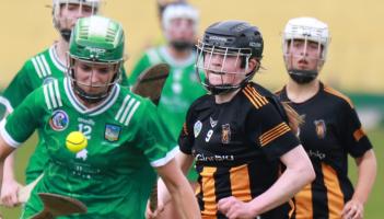 Limerick minor camogie panel announced for 2026 season