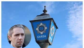 Woman in her 30s arrested and charged for making online threats to Simon Harris