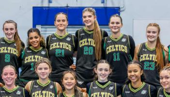 Positive week for Limerick sides in Domino's Super League and Division One action