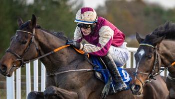 Rathkeale trainer celebrates stunning treble at Limerick Racecourse
