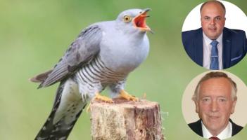 'More thought of the cuckoo than the people' - Anger in Limerick over planning guidelines