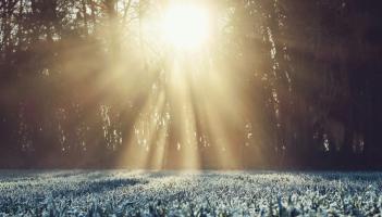 Ireland set for higher temperatures this week as Met &Eacute;ireann signals major shift