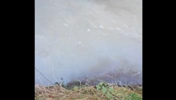 BREAKING: Investigation launched after latest pollution incident on Limerick river