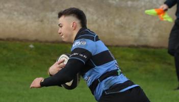 Three Limerick clubs record men's All-Ireland League wins