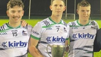 Limerick hurling stars play key role in University of Limerick's Freshers Hurling League success