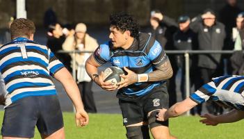 Seven Limerick club rugby sides seek pre-Christmas cheer in All-Ireland League