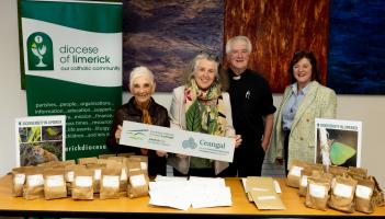 Limerick parishes plant pollinator friendly bulbs, boosting local biodiversity