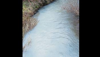 Limerick angling club left feeling 'demoralised' after another pollution incident in spawning river