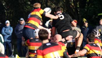 Limerick sides looking to bounce back in crucial All-Ireland League fixtures