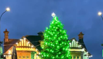 Limerick village's Christmas tree festival highlights packed festive programme