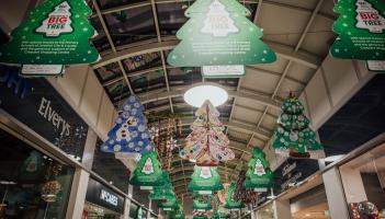 Schools across Limerick celebrate success in Team Limerick Cleanup tree competition