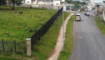 Hefty fine for Limerick man who 'mistakenly believed' he was entitled to dump on street