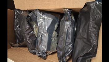 Garda&iacute; and Revenue Customs Service Seize &euro;100,000 Cannabis, Arrest