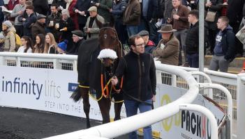Your guide to day two of the Limerick Christmas Racing Festival December 27