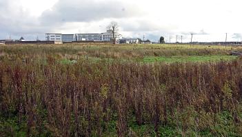 Limerick site out of use for more than 20 years looks set for houses