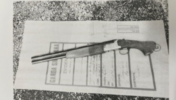 A family affair: Brothers jailed for drug fuelled Limerick home shooting