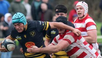 Two crucial Limerick derbies among weekend All-Ireland League rugby fixtures