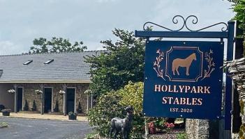 Threat of demolition hangs over state-of-the-art equestrian centre in Limerick