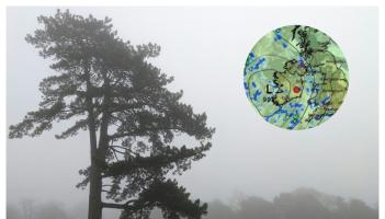 Grim weekend ahead as experts warn frost, ice and freezing fog 'will be an issue'