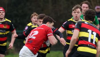 Limerick sides prepare for Round 13 of Energia All-Ireland league action