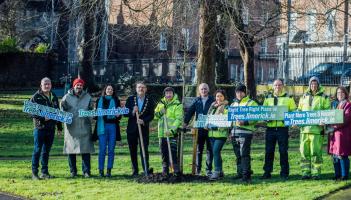 Registry opens for counting of new trees planted in Limerick