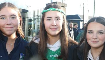 PICTURES: Limerick hurling fans cheer side to Division 1A National League victory over Kilkenny