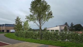 Starting line now in sight for new athletics centre in Limerick