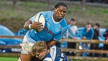 Two Limerick rugby clubs look to secure Munster Senior Cup final places