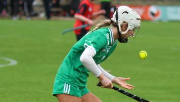 Limerick withstand Down comeback and tough conditions to win National Camogie League opener