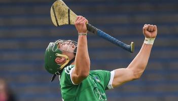 Limerick All-Ireland medallist makes hurling debut for Louth