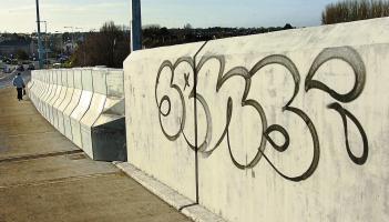 Graffiti wipeout? Some markings must go within 24 hours under Limerick plans