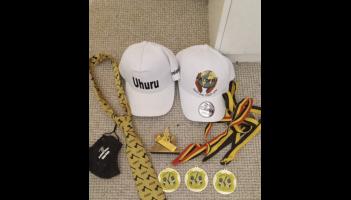 Gardai raid properties in Limerick in an operation targeting the Nigerian mafia