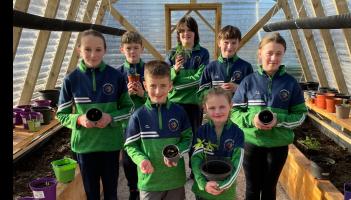 Limerick school launches new Community Biodiversity Action Plan