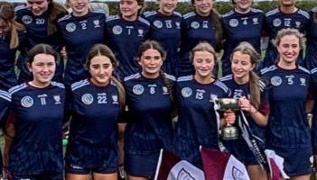 Clinical Laurel Hill secure All-Ireland camogie title