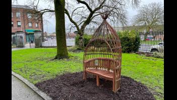 New willow artwork offers calming space in Limerick city park