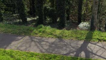 Gardai hunt creepy flasher who performed sex act in public in Limerick