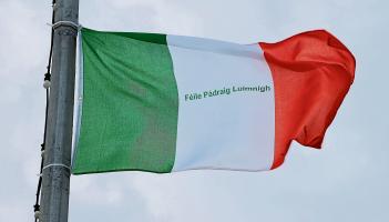 'Administrative error' sees Tricolour flags over Limerick bridge removed