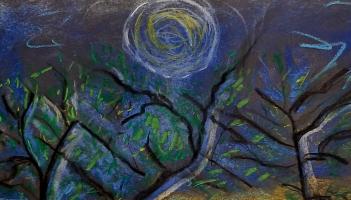 Wild Trees art exhibition