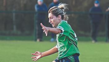 Limerick face two trips North to round off difficult Division 3 campaign
