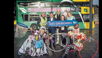 Record volunteer numbers expected for annual Team Limerick Clean-Up