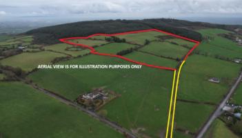 Disappointed underbidders at auction of 31 acre grassland farm in Limerick