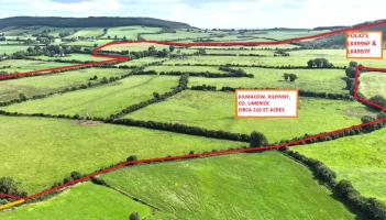 Dairy farmer wins the day at multimillion-euro auction of 210 acre Limerick farm