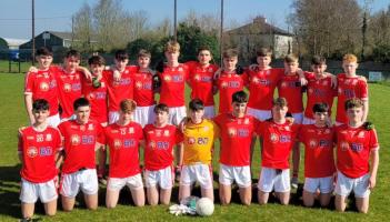 Limerick representatives confirmed for F&eacute;ile Peil after local finals