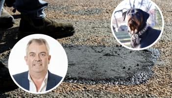 &lsquo;Rottweiler&rsquo; approach urged to tackle poor reinstatement works in Limerick