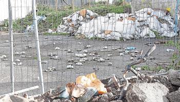 Cost of tackling illegal dumping across Limerick is revealed